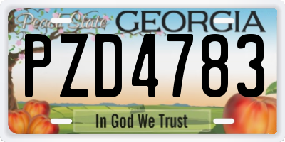 GA license plate PZD4783