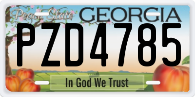 GA license plate PZD4785