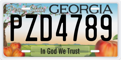 GA license plate PZD4789