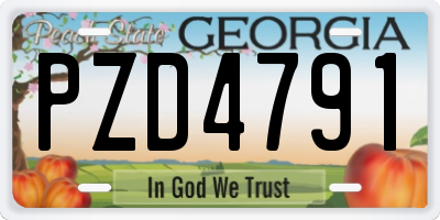 GA license plate PZD4791