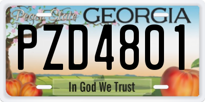 GA license plate PZD4801
