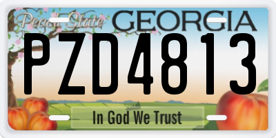 GA license plate PZD4813