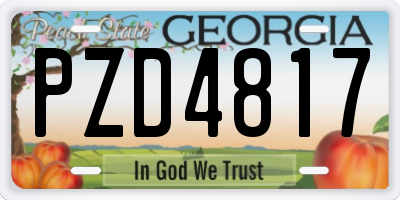 GA license plate PZD4817