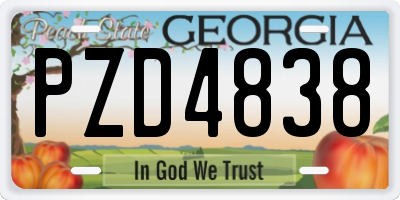 GA license plate PZD4838