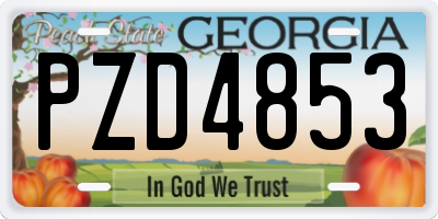 GA license plate PZD4853