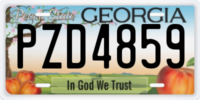 GA license plate PZD4859