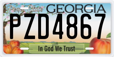 GA license plate PZD4867