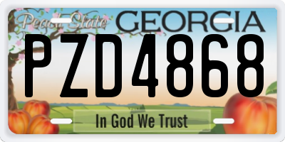 GA license plate PZD4868