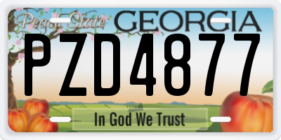 GA license plate PZD4877