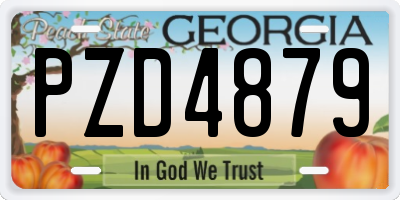 GA license plate PZD4879