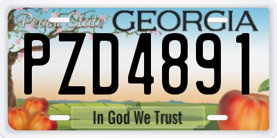 GA license plate PZD4891