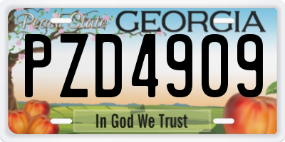 GA license plate PZD4909