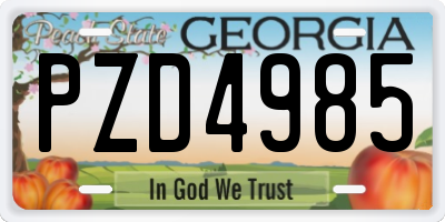GA license plate PZD4985