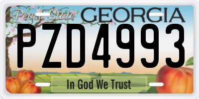 GA license plate PZD4993
