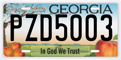 GA license plate PZD5003