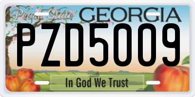 GA license plate PZD5009