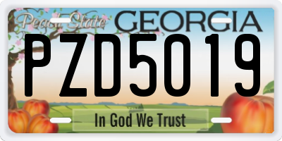 GA license plate PZD5019