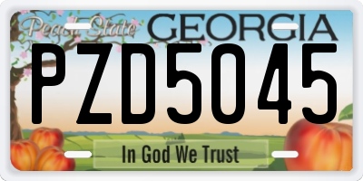 GA license plate PZD5045