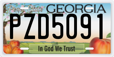 GA license plate PZD5091