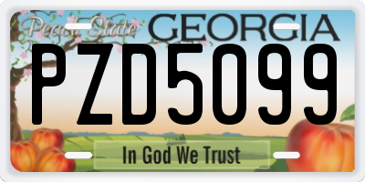 GA license plate PZD5099