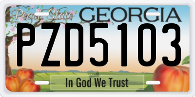 GA license plate PZD5103