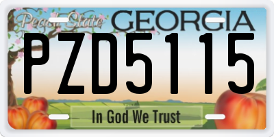 GA license plate PZD5115