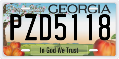 GA license plate PZD5118
