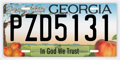 GA license plate PZD5131