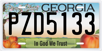 GA license plate PZD5133