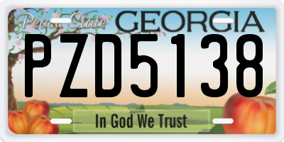 GA license plate PZD5138