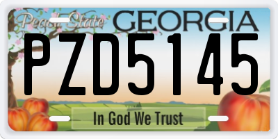 GA license plate PZD5145