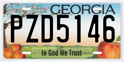 GA license plate PZD5146