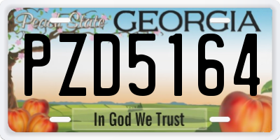 GA license plate PZD5164
