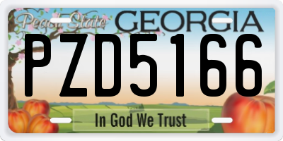 GA license plate PZD5166