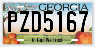 GA license plate PZD5167