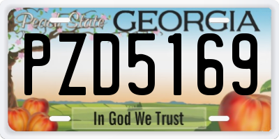 GA license plate PZD5169
