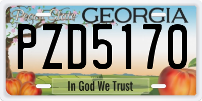 GA license plate PZD5170