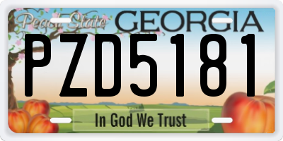 GA license plate PZD5181