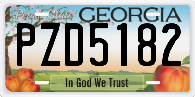 GA license plate PZD5182