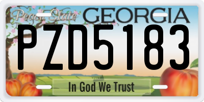 GA license plate PZD5183