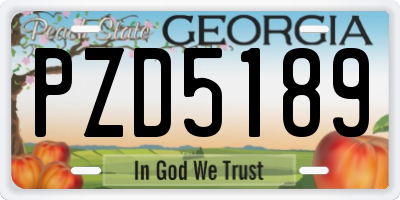 GA license plate PZD5189