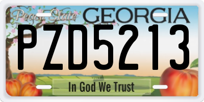GA license plate PZD5213