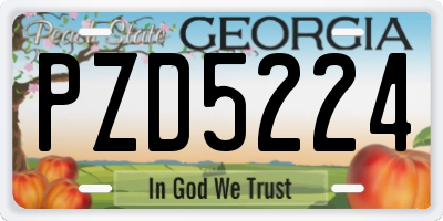 GA license plate PZD5224