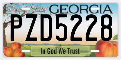 GA license plate PZD5228