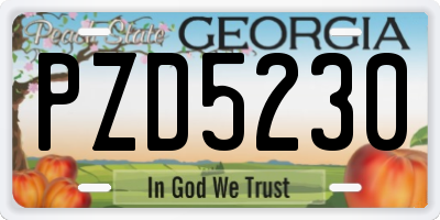 GA license plate PZD5230