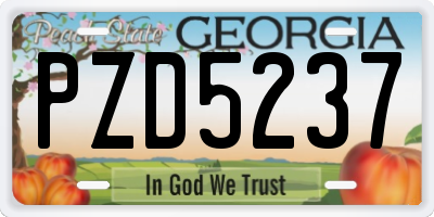 GA license plate PZD5237