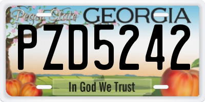 GA license plate PZD5242