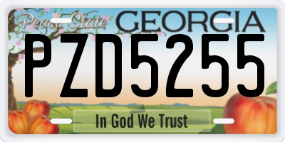 GA license plate PZD5255