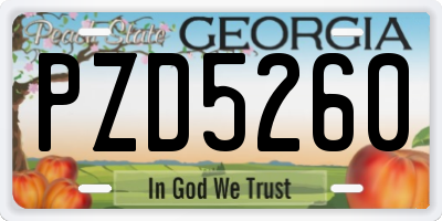 GA license plate PZD5260