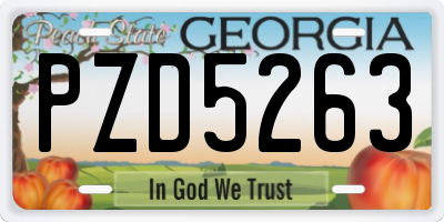 GA license plate PZD5263